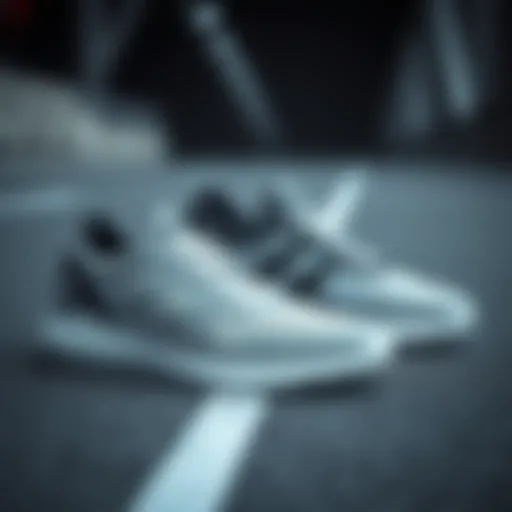 Sophisticated sports shoes on a stylish surface