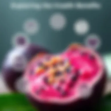 Exploring the Health Benefits of Açai Infographic displaying açai's health benefits