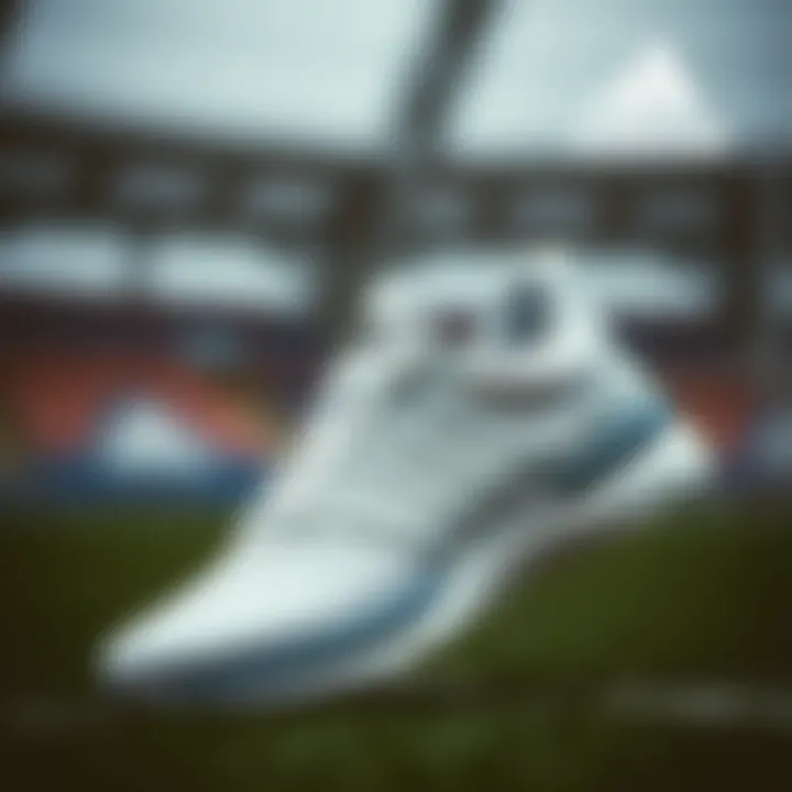 Notable Adidas Bayan Şort: Konfor ve Performansın Buluştuğu Nokta Notable Adidas Bayan Şort: Konfor ve Performansın Buluştuğu Nokta