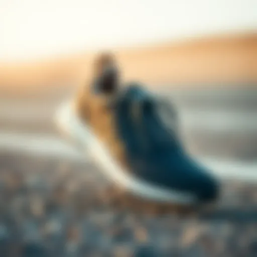 Stylish Adidas Footwear for Active Lifestyle Stylish Adidas footwear for active lifestyle