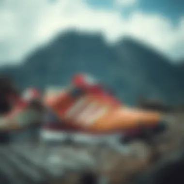 Versatility of Adidas Gore-Tex Shoes Demonstrating the versatility of Adidas Gore-Tex shoes in outdoor settings