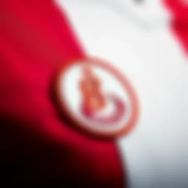 Brand logo of Beşiktaş on the jersey