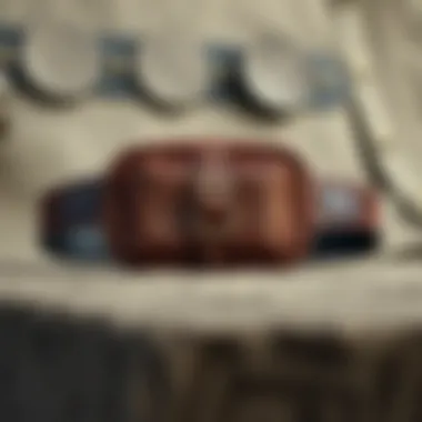 Premium Craftsmanship in Leather Belt Bags Stylish leather belt bag showcasing premium craftsmanship