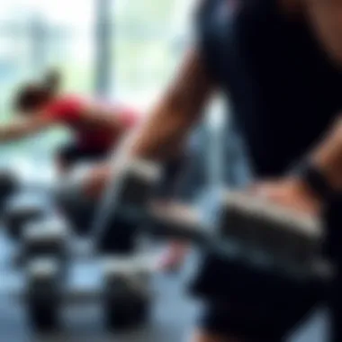 Diverse exercises being performed with Delta chrome dumbbells