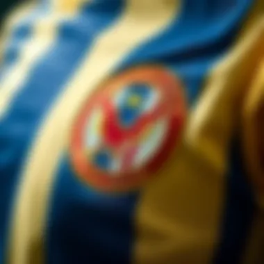 Close-up of the Fenerbahçe emblem on a jersey