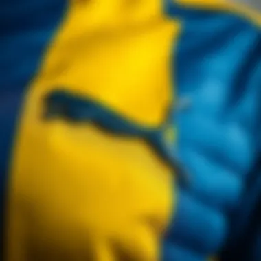 Fenerbahçe Logo Detail on Puma Apparel Close-up of Fenerbahçe logo on Puma clothing