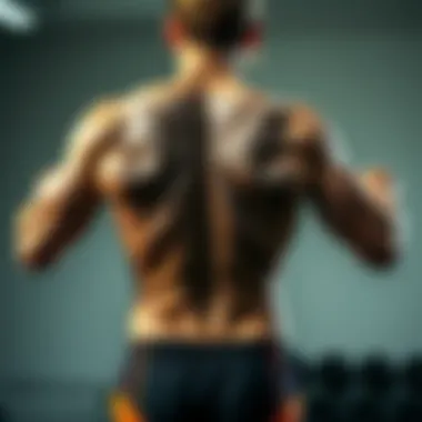 Impact of back exercises on athletic performance
