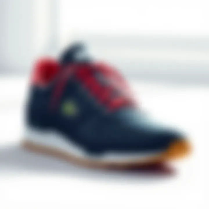 Fashionable Lacoste footwear showcasing style and elegance
