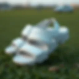 Stylish Nike sandals showcasing modern design