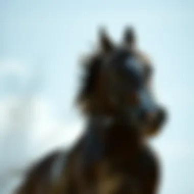 Notable Pegasus Trail 3: Spor Giyiminde Yenilikler ve Performans Notable Pegasus Trail 3: Spor Giyiminde Yenilikler ve Performans