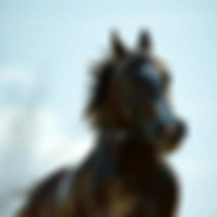 Notable Pegasus Trail 3: Spor Giyiminde Yenilikler ve Performans Notable Pegasus Trail 3: Spor Giyiminde Yenilikler ve Performans