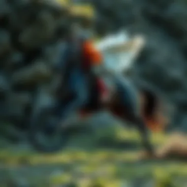 Pegasus Trail 3: Spor Giyiminde Yenilikler ve Performans Summary Pegasus Trail 3: Spor Giyiminde Yenilikler ve Performans Summary