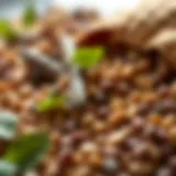 Nutritious legumes rich in protein