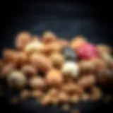 A variety of protein-rich nuts displayed in an elegant arrangement, showcasing their diverse textures and colors.