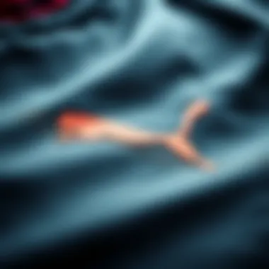 Quality Fabric of Puma Whirlwind Gear Close-up of high-quality fabric used in Puma Whirlwind gear