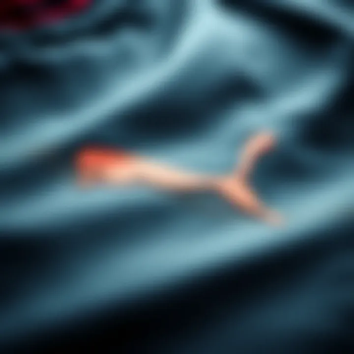 Quality Fabric of Puma Whirlwind Gear Close-up of high-quality fabric used in Puma Whirlwind gear