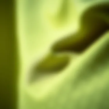 Quality Fabrics in Sportswear Close-up of high-quality fabric used in sportswear
