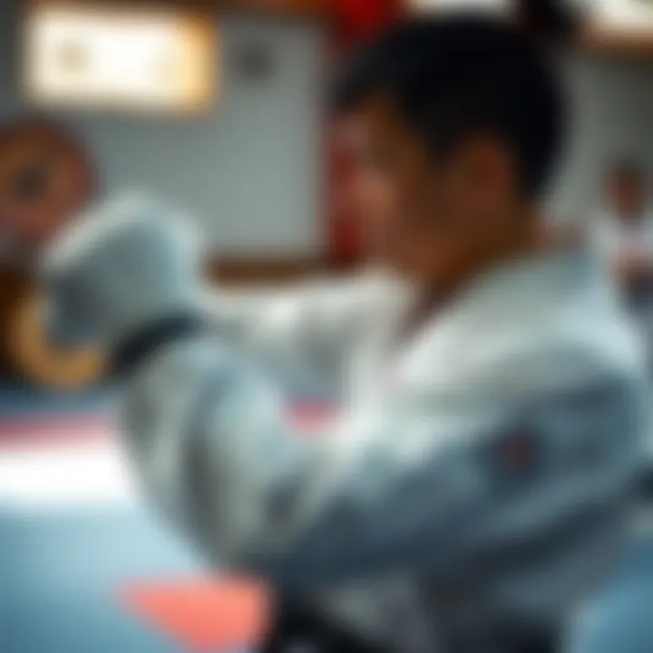 Taekwondo training session