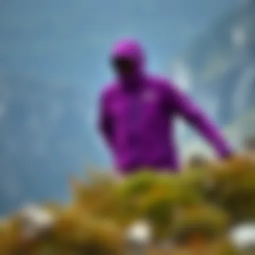 Vibrant North Face purple jacket on a mountain trail