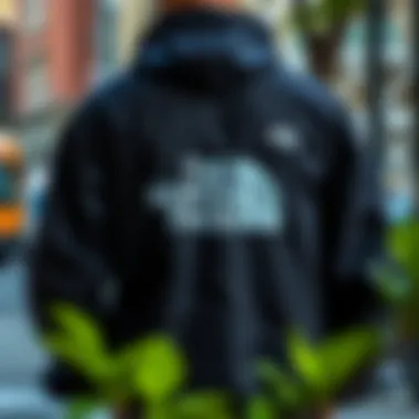 The North Face Retro 1996 jacket displayed in an urban setting