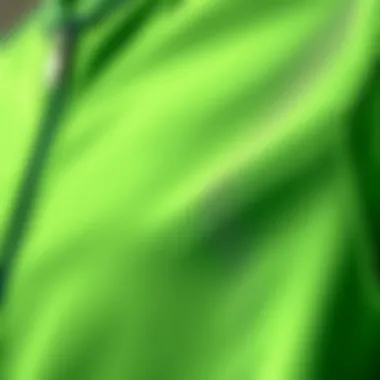Premium Fabric of Tiro 21 Close-up of Tiro 21 zip-up top showcasing fabric quality