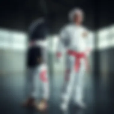 Comparison of kickboxing and taekwondo uniforms