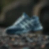 Stylish Waterproof Sports Shoe Showcasing a stylish waterproof sports shoe designed for outdoor activities.